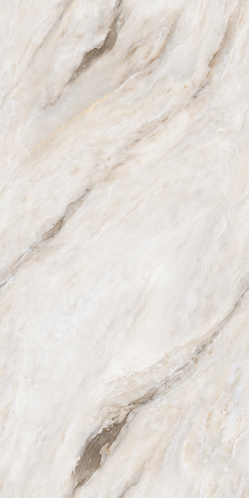 加多利亞-TW918E001