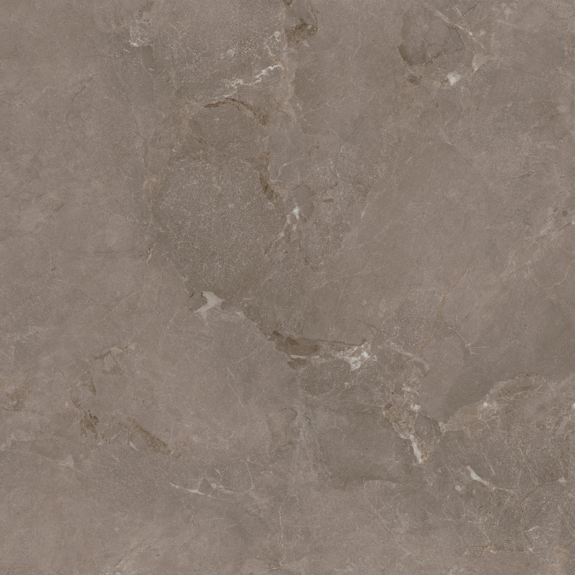 薩爾瓦灰-TW88X2555